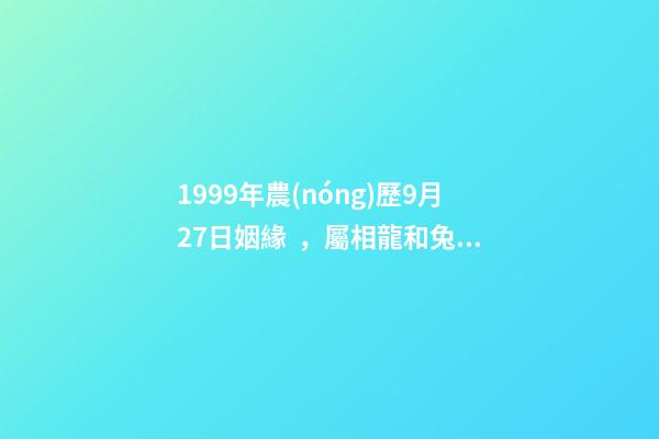 1999年農(nóng)歷9月27日姻緣，屬相龍和兔的男女朋友能結(jié)婚嗎-第1張-觀點-玄機派